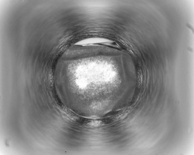 X0000093170609200710241041