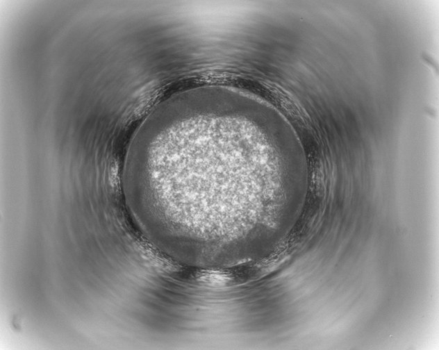 X0000093170610200710241041