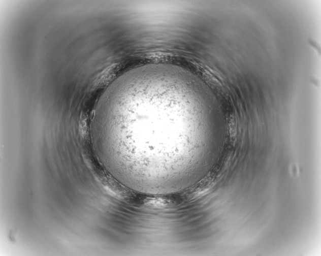 X0000093170611200710241041