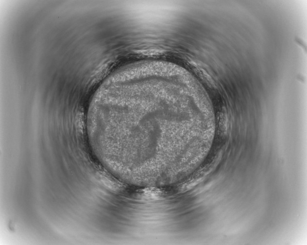 X0000093170612200710241041