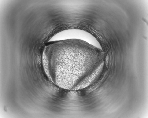 X0000093170613200710241041