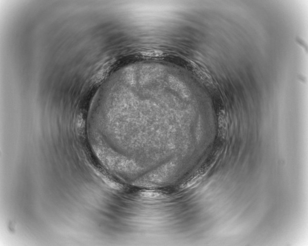 X0000093170614200710241041