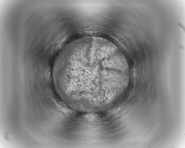 X0000093170615200710241041