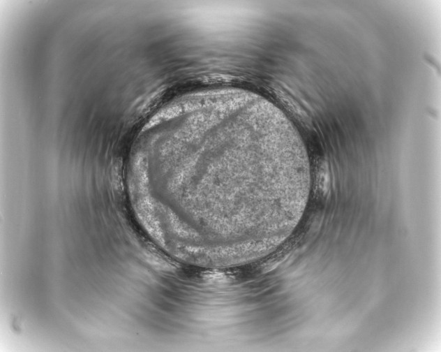 X0000093170616200710241041