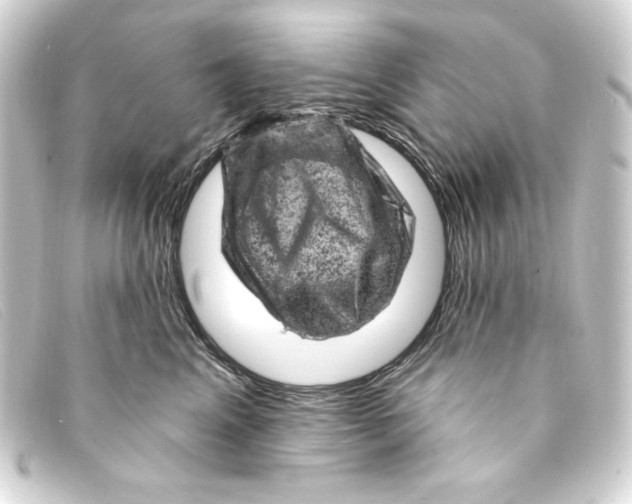 X0000093170617200710241041