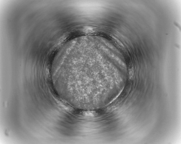 X0000093170618200710241041