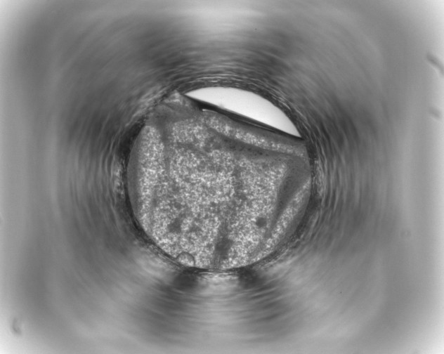 X0000093170619200710241041