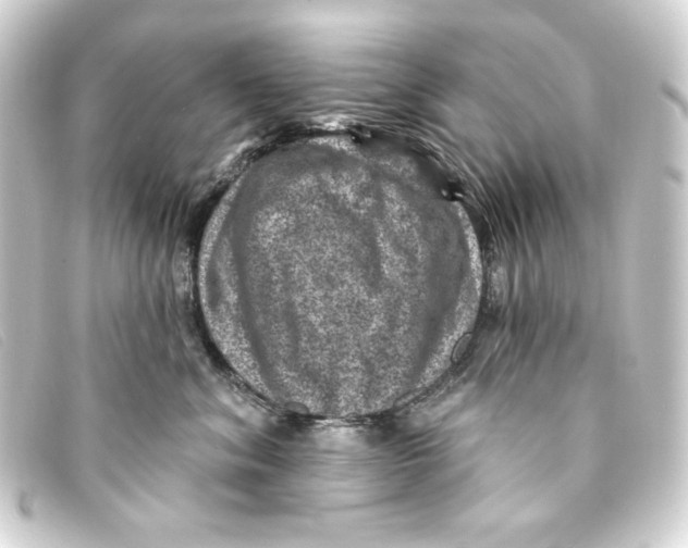 X0000093170620200710241041