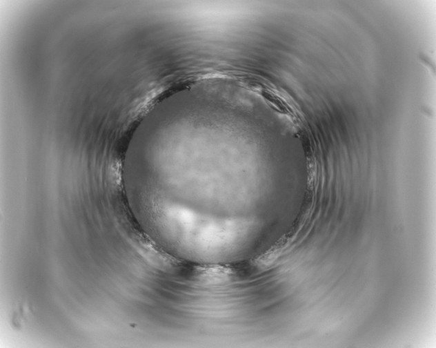 X0000093170621200710241041