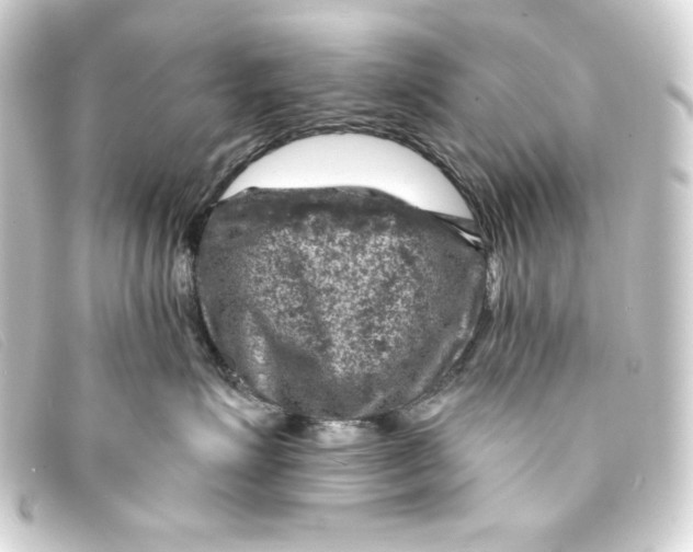 X0000093170623200710241041