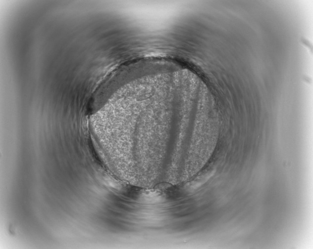 X0000093170624200710241041