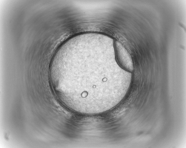 X0000093170625200710241040