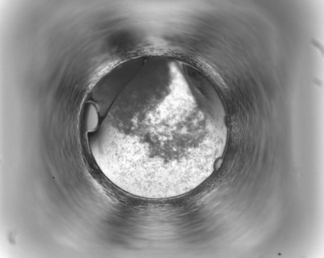 X0000093170626200710241040