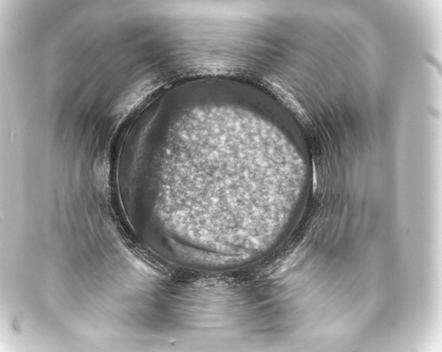 X0000093170627200710241040