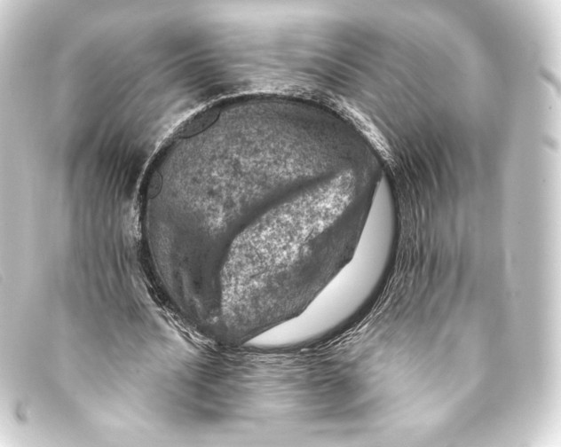 X0000093170628200710241040