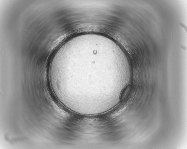 X0000093170629200710241040