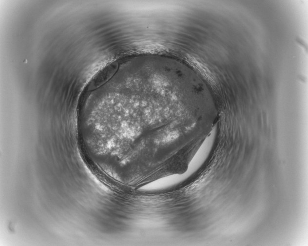 X0000093170630200710241040