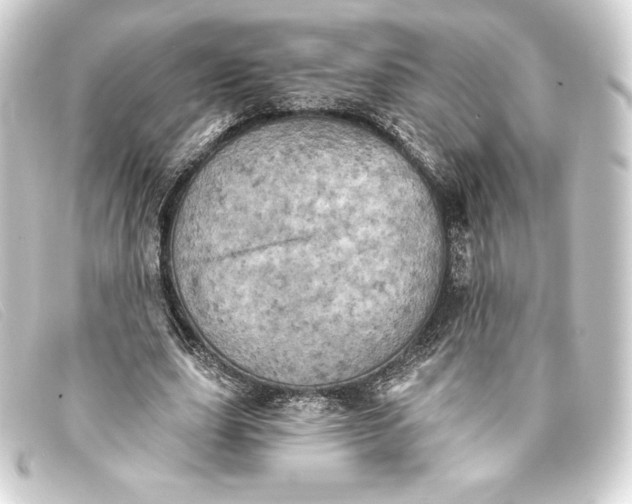 X0000093170631200710241040