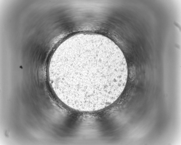 X0000093170632200710241040