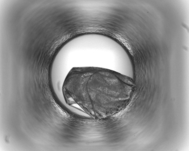 X0000093170633200710241040