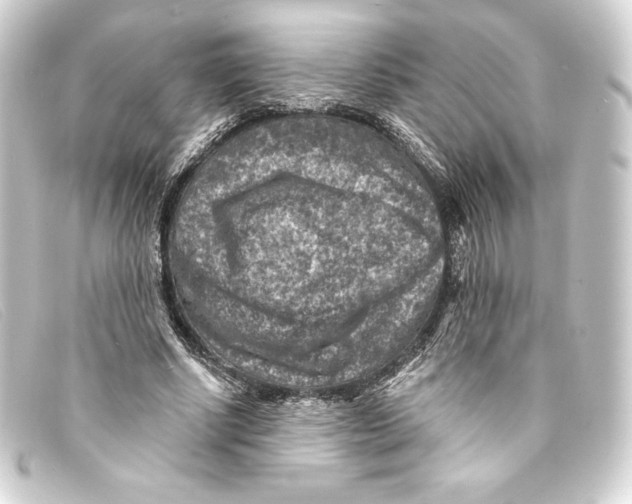 X0000093170634200710241040