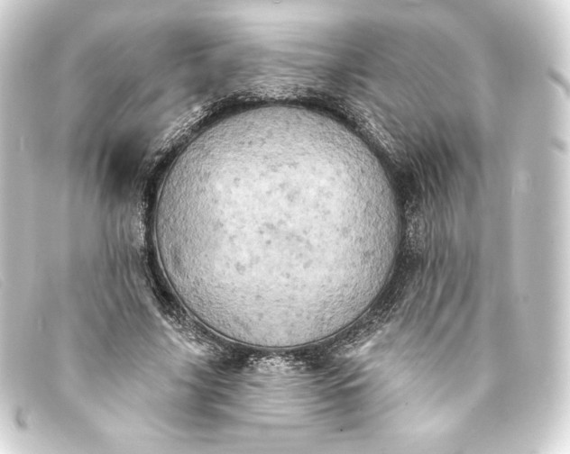 X0000093170635200710241040