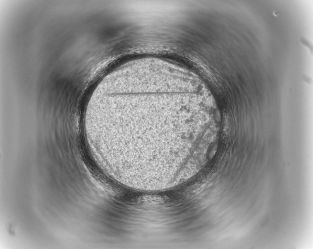 X0000093170636200710241040