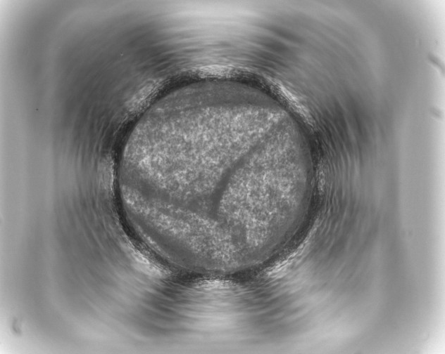 X0000093170637200710241040