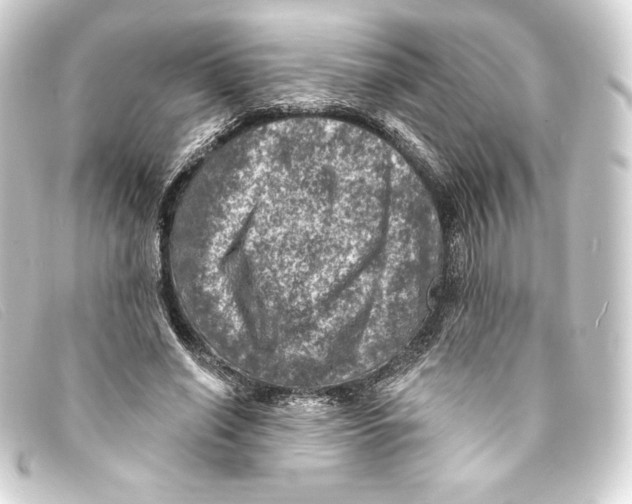 X0000093170638200710241040