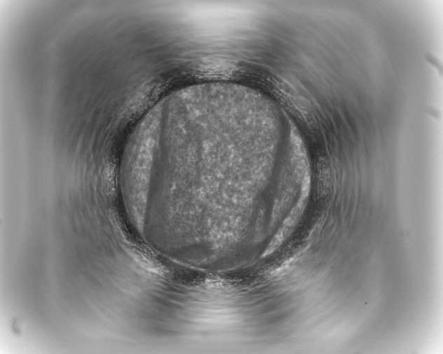 X0000093170641200710241040