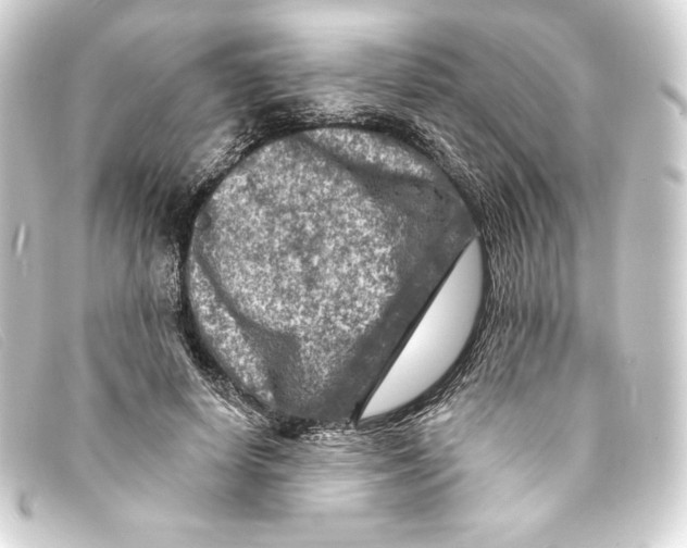 X0000093170642200710241040