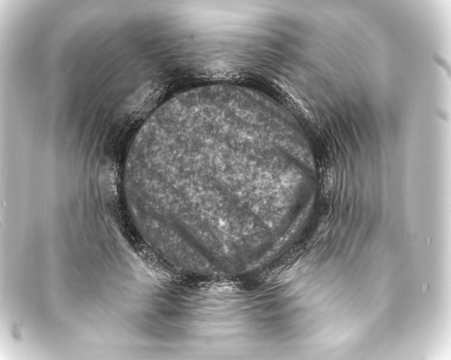 X0000093170643200710241040