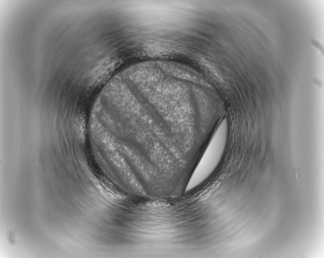 X0000093170644200710241040