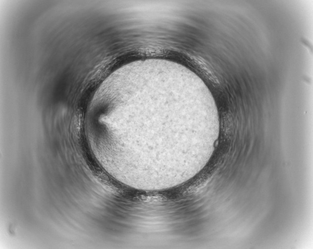 X0000093170645200710241040