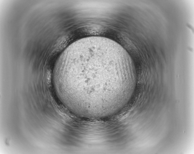 X0000093170646200710241040