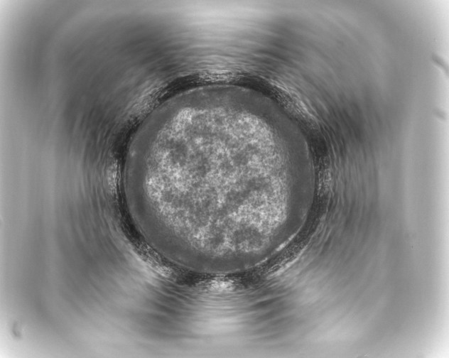 X0000093170647200710241040