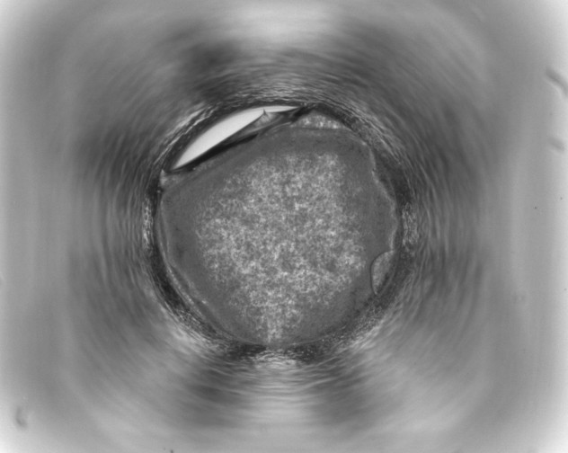 X0000093170648200710241040