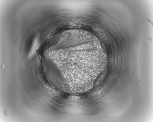 X0000093170649200710241040