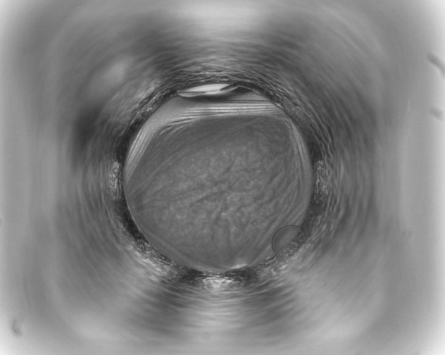 X0000093170650200710241040