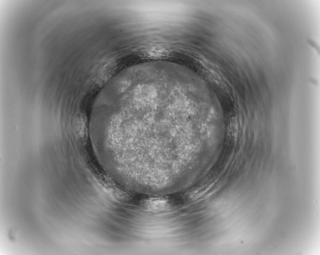 X0000093170651200710241040