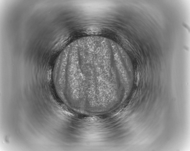 X0000093170652200710241040