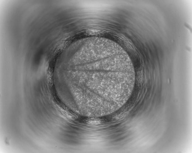 X0000093170653200710241040