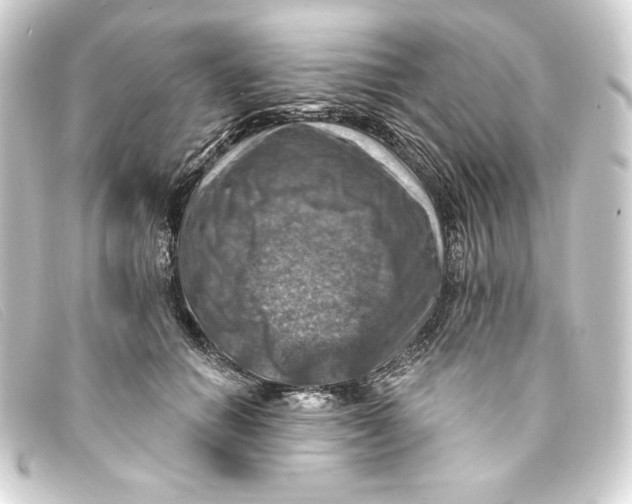 X0000093170654200710241040