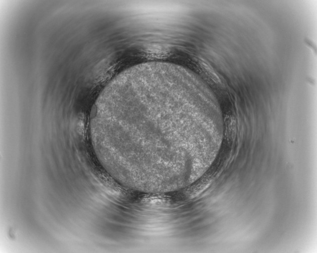 X0000093170655200710241040