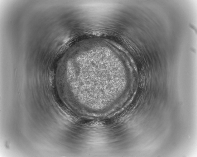 X0000093170656200710241040