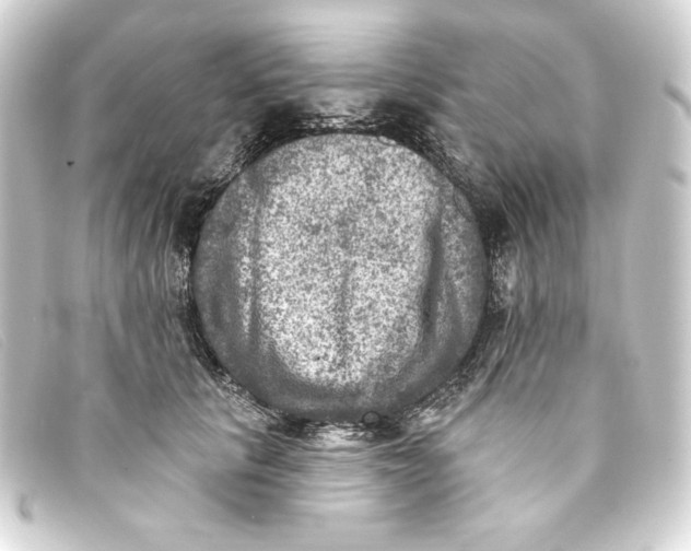 X0000093170657200710241040