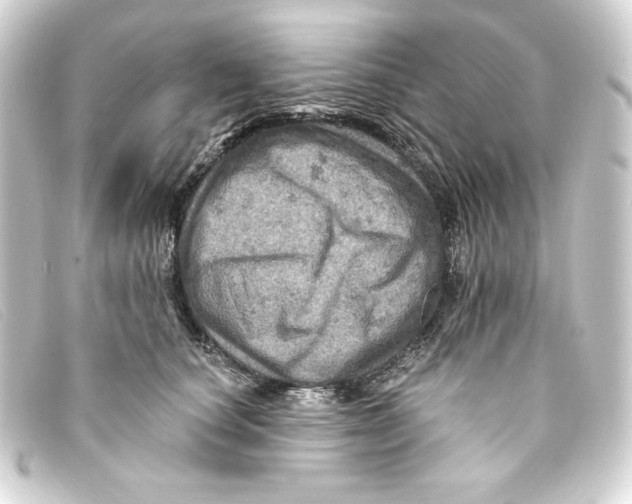 X0000093170660200710241040