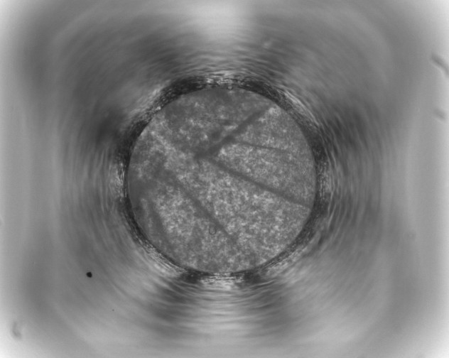 X0000093170661200710241040