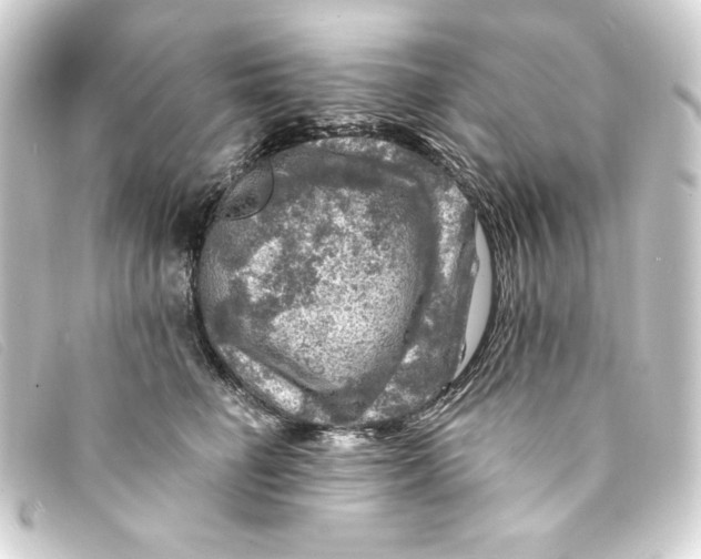 X0000093170662200710241040