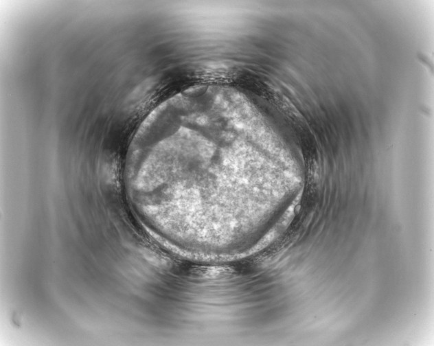 X0000093170663200710241041